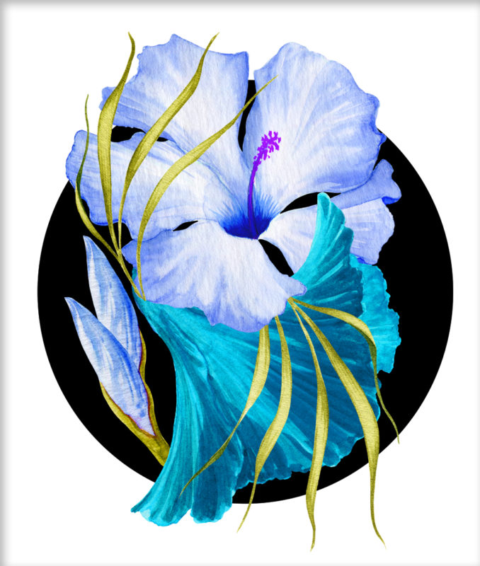 Flower Power – Tropical Blue