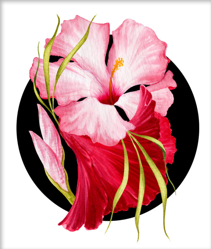 Flower Power – Tropical Pink