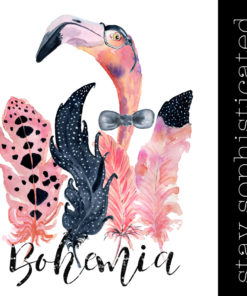 Bohemian Flamingo – Sir Alastaire